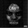 Nina Ross - I Can't Breathe (feat. Taiya Meishee') - Single